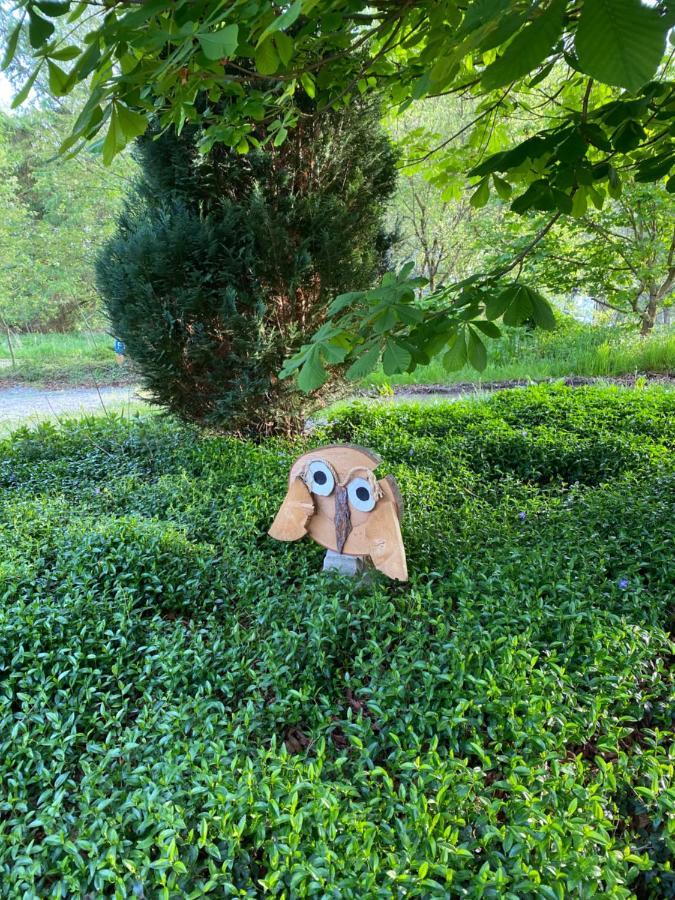Urlaub In Der Natur Lüdenscheid Exterior foto