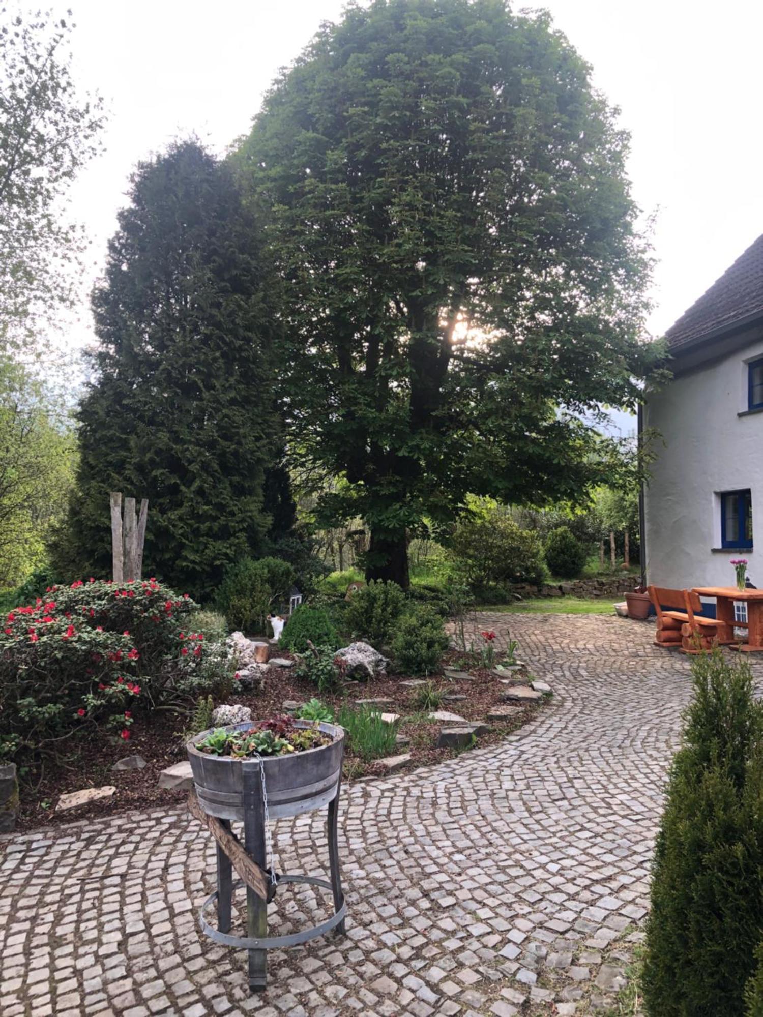 Urlaub In Der Natur Lüdenscheid Exterior foto